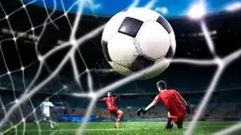 开云体育 资讯 172048 b2t