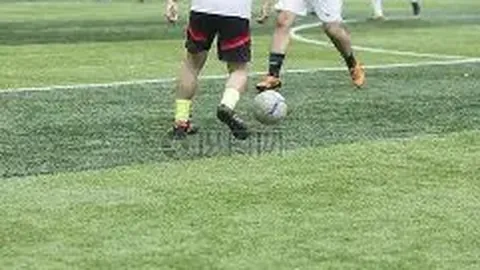 开云体育 资讯 172055 2j8