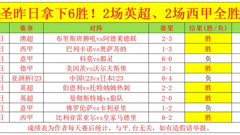 2025赛季德甲联赛最佳射手榜单